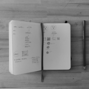 Appunti e studi grafici