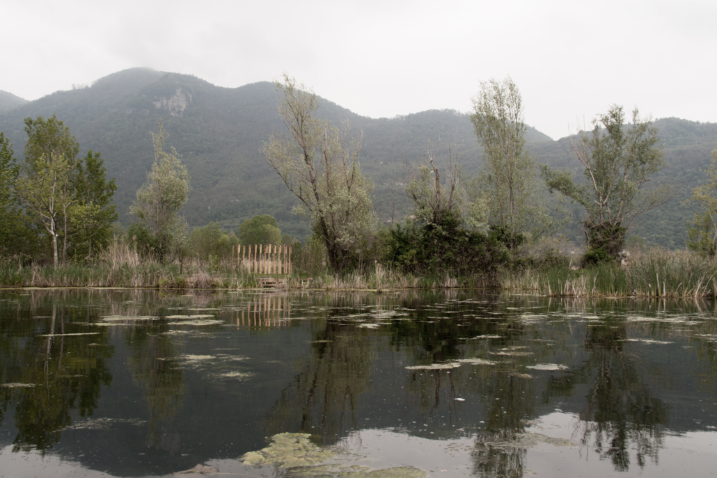 Paesaggio delle Torbiere