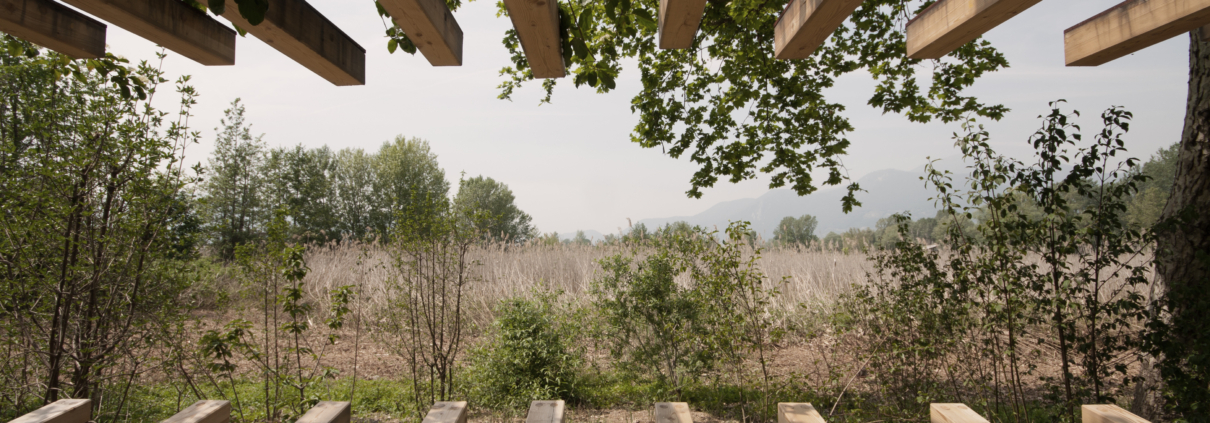 vista dall'interno del padiglione