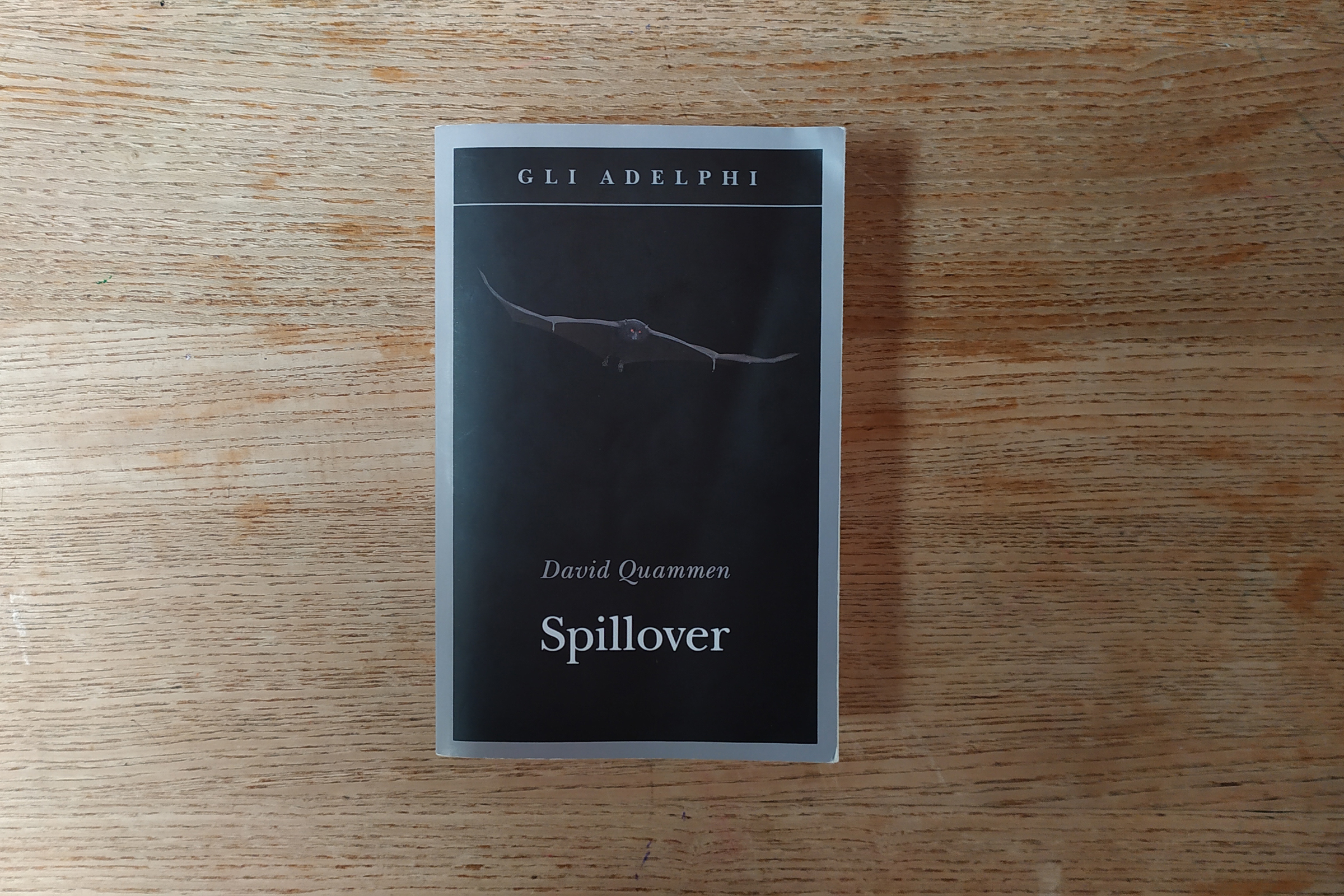 copertina libro spillover