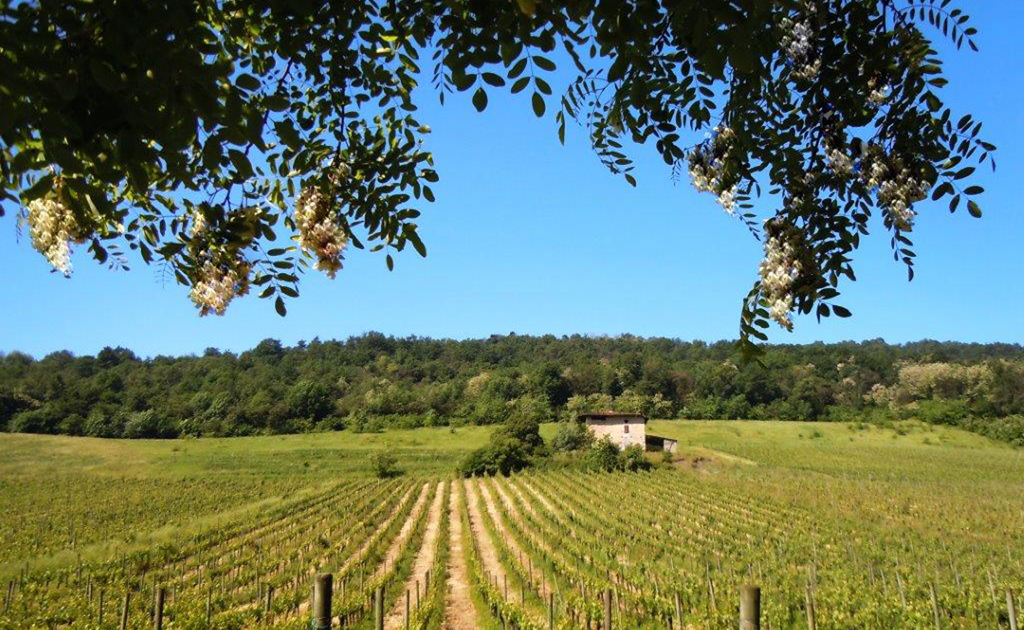 Parco delle Valli d'Argon