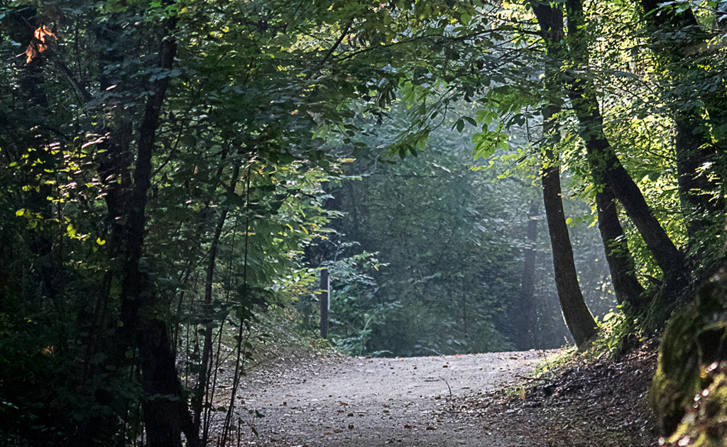 sentieri nel Parco delle valli d'Argon