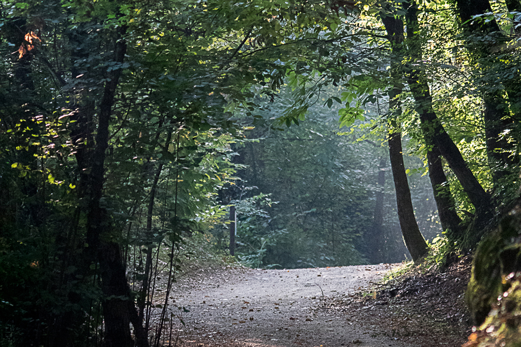 sentieri nel Parco delle valli d'Argon