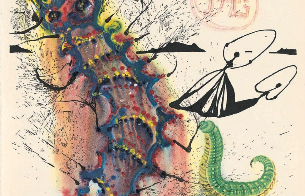 Alice nel Paese delle Meraviglie