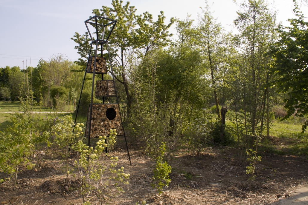 Rigenerazione ambientale - le stanze di natura