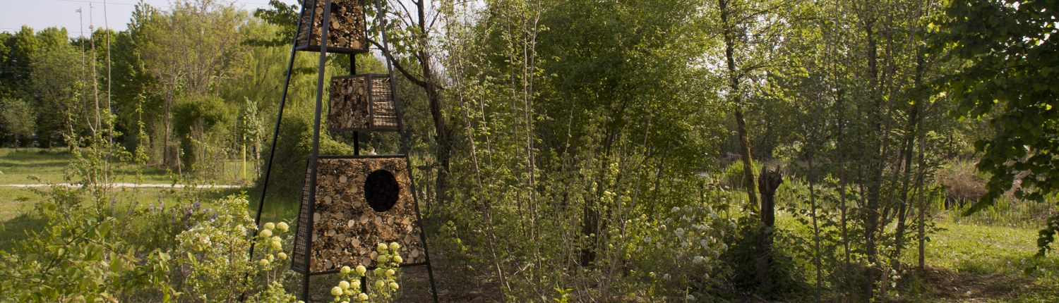 Rigenerazione ambientale - le stanze di natura