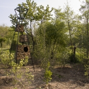 Rigenerazione ambientale - le stanze di natura