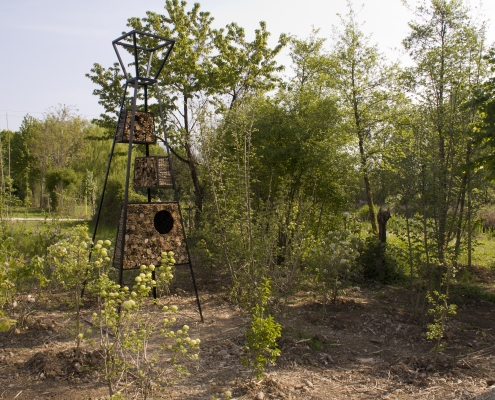 Rigenerazione ambientale - le stanze di natura