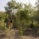 Rigenerazione ambientale - le stanze di natura