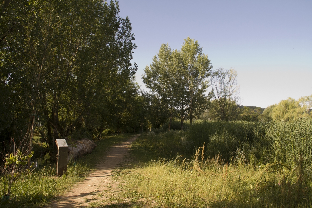 Stanze di natura percorsi