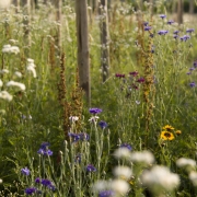 Stanze di natura biodiversità