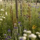 Stanze di natura biodiversità