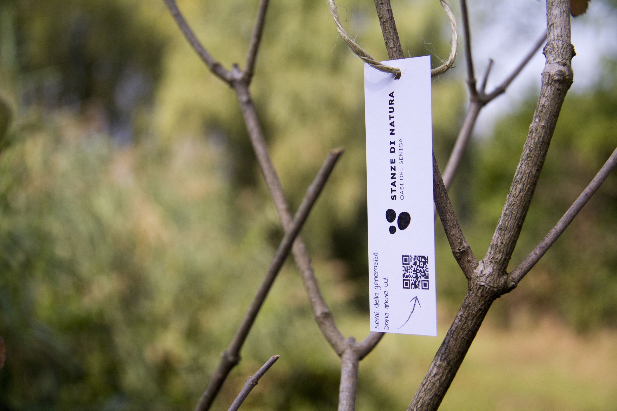 Etichetta sul ramo dell'albero