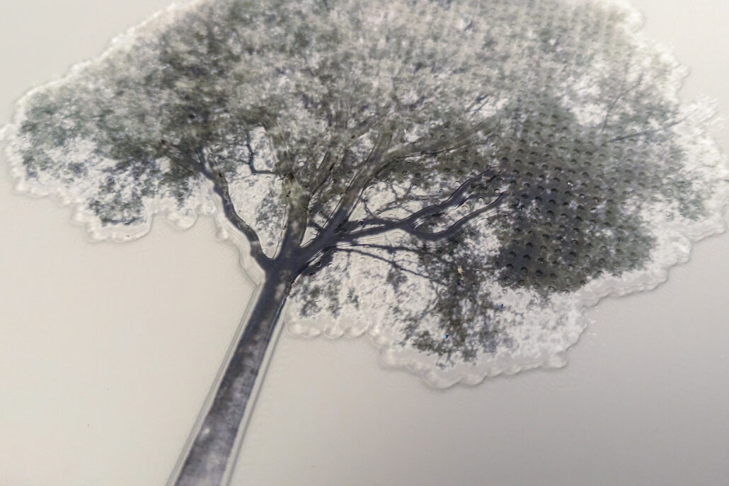 Dettaglio tattile dell'albero raffigurato in una mappa visuo tattile di Villa Ghirlanda Silva