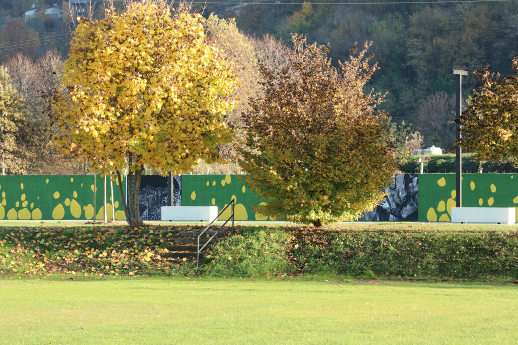 Alberi autunnali dalle foglie gialle davanti al murales del Parco Moroni