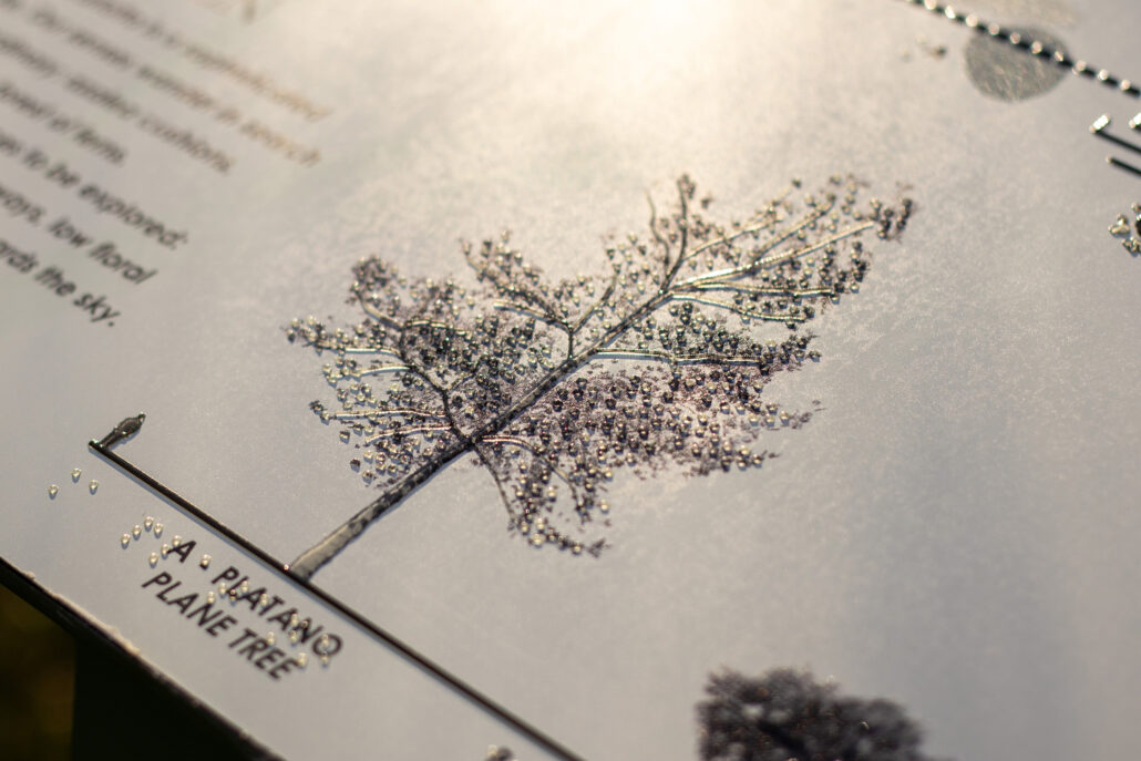 Particolare tattile della sagoma di un albero raffigurato su una mappa visuo-tattile per Villa Carlotta